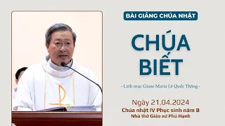 Chúa biết - Lm Giuse Maria Lê Quốc Thăng | Ngày hội Ơn gọi linh mục - tu sĩ