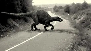 15 Dinosaurs Caught On Camera And Seen In Real Life