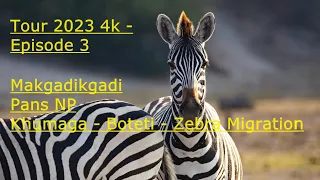 3 - Makgadikgadi Pans NP - Khumaga Boteti, Zebra Migration - Track 3 - 2023 Tour 4k