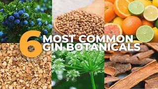 The 6 Most Common Gin Botanicals