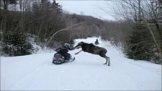 Приколы на рыбалке, охоте и многое другое!