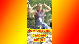 Чем опасны сырые яйца?