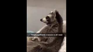 Forget a girlfriend