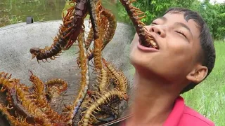Catch Centipede and Grilled on Clay for Food - Cooking Centipede Eating Delicious