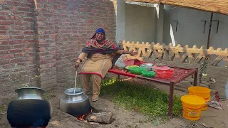 Chicken+Vegetable Mix Daigh | Pakistani Village Life