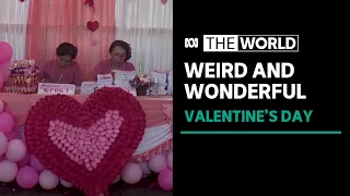 Catching the love bug on Valentine's Day | The World