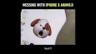 Messing with iPhone X animoji funny dog wants beef jerky