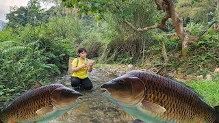 09.Go to the stream and see a huge school of chep fish...