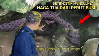 Viral.! Detik-detik munculnya naga leluhur dari perut bumi pegunungan jawa tengah