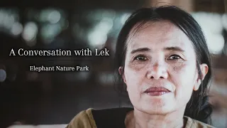 Meet the Founder of Elephant Nature Park, Chiang Mai  - Wayfairer Travel