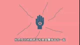 搖滾樂-非常簡短的歷史 中文翻譯