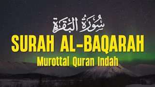 Surah Al Baqarah Dengan Suara Indah Membuat Hati Tenang