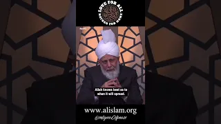 This Week With Huzoor 18 November 2022  #islamahmadiyyat #shorts #wordsofkhalifa #ahmadiyya #mtai