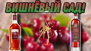 Обзор настойки Онегин Gourmet Вишня, барбарис и гранат и сравнение с Арарат Cherry(вишня)!Кто лучше?