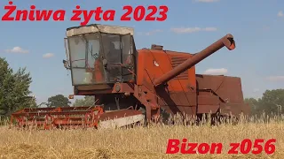 🔥Żniwa żyta i pszenżyta 2023✔''Żniwa 2023 z Bizonem'' [Dzień 2 i 3]✔2xUrsus & Bizon dźwięk silnika⛔