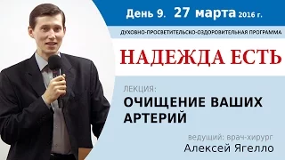 День 9. Лекция "Очищение ваших артерий". Алексей Ягелло