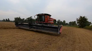 10/8/2020:  Griggs Farms LLC First Day of Soybean Harvest!!!  (4K)