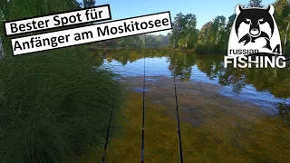 Bester Spot für Anfänger am Moskitosee + Geschenke Level 7-8 | Anfänger Guide | Russian Fishing 4