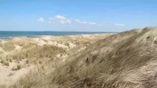 Walk in Nature Reserve Oranjezon, Vrouwenpolder, Netherlands