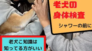 お友達に来てもらって、老犬身体検査をしてもらいました。お風呂に入っていいのでしょうか？