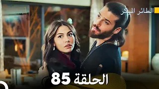 مسلسل الطائر المبكر الحلقة 85 (Arabic Dubbed)