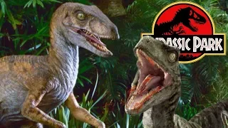 The Terrible Truth About Velociraptor Hunting On Isla Nublar - Michael Crichton's Jurassic Park