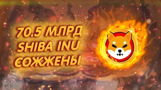 SHIBA INU: 70,5 МЛРД ТОКЕНОВ ШИБЫ СГОРЕЛИ!/ РЕЗКИЕ СКАЧКИ ОЖОГОВ!