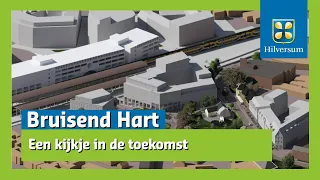 Animatie Bruisend Hart