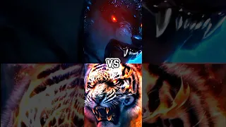 LION VS TIGER ,WOLF,(MOST DEADLIEST ANIMAL)(HUMAN DEATH PER YEAR)