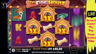 Занос в слоте The Dog House Ставка 100р