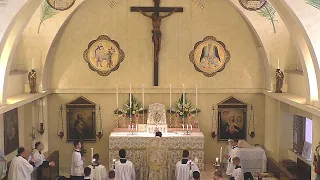 Solennità del Corpus Domini - Santa Messa FSSPX Italia