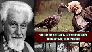 История зоопсихологии. Основатель этологии Конрад Лоренц.