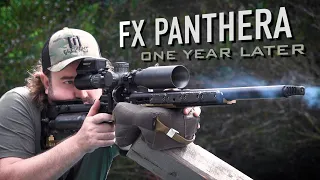 FX Panthera, One Year Later: The Undisputed Master [4K]