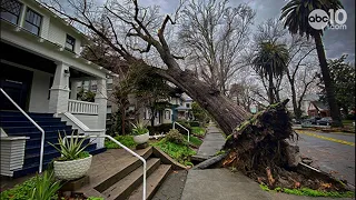 Northern California Storm Watch | Heavy winds worsens crew clean-up of downed trees
