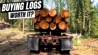 How Much Does It Cost To Buy A Load Of Logs For Our Sawmill? // How To Scale Logs // Buying Logs