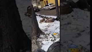 У Львові жінка випала з вікна будинку