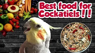 Cockatiel Diet || What Should You Feed Your Bird || Cockatiel Parrot Foods || Shabu's Vlog