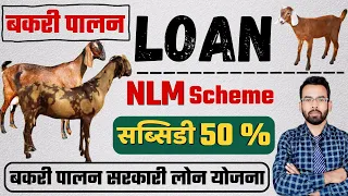 बकरी पालन सरकारी लोन योजना 2024 | Goat Farming Government Loan Scheme | Loan RS 5 Lakh To 50 Lakh