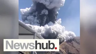 Whakaari/White Island eruption: Company found guilty of health and safety charge | Newshub