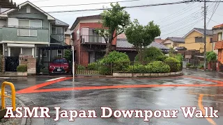 ASMR Japan Pre Covid Downpour Rain Walk 2019.06.22 Ambience Sound Sleep Meditate Relax Tokyo Suburb