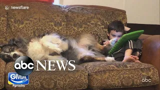 Check out this adorable 3-year-old use his pup to help play a game on his tablet