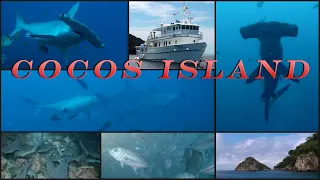 Best Of Cocos Island Diving II, Costa Rica