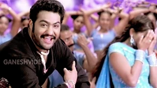 Ashok Songs - Nuvvasalu - Jr. NTR, Sameera Reddy - Ganesh Videos