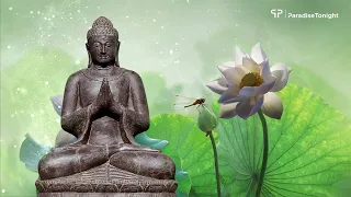 528 Hz Meditation Music, Zen Music, Yoga Music | Relaxing Flute Music