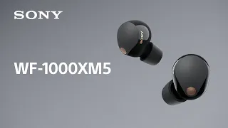 Sony Noise Cancelling Headphones WF-1000XM5 Official Product Video | Official Video