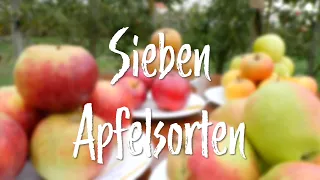 In d' Tuun: Sieben Apfelsorten