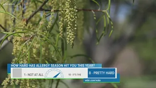 Pollen season beginning to kick into overdrive in East TN