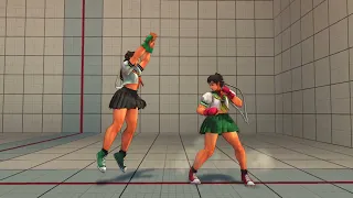 Ultra Street Fighter IV Sakura Practice Mode