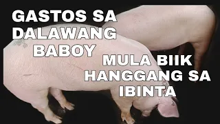 with computation/GASTOS SA PAG-AALAGA NG DALAWANG BABOY/TOTAL expenses #piggery #income #gastosbaboy