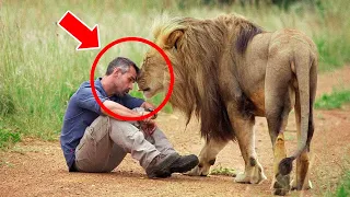 After 8 Years, Lion Meets Caretaker Again – His Reaction Will SHOCK YOU!